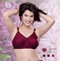 Karishma D Cup Bra